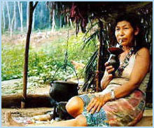 Indianer-Reservat in Paraty-Mirim - Brasilien