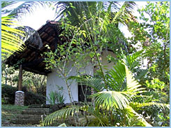 Sitio - Chalet in Paraty-Mirim - Brasilien